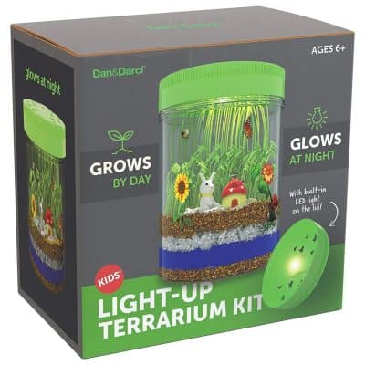 Light-up Terrarium Kit for Kids by Dan&Darci