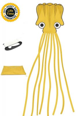 American Summertime Octopus Kite