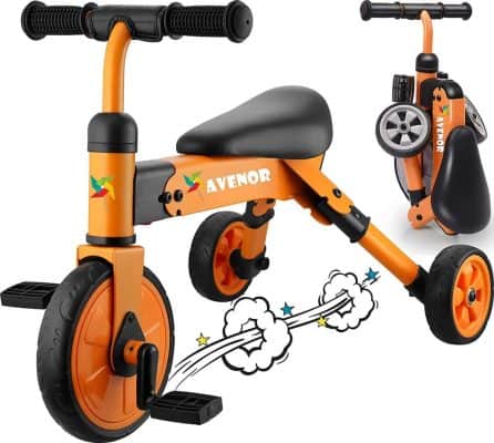 Avenor 2-in-1 Tricycle