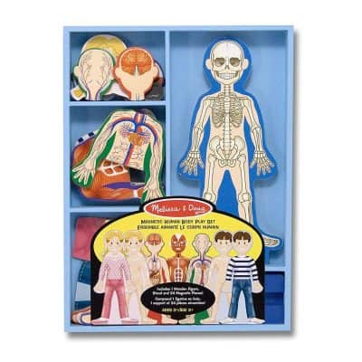 Melissa & Doug Magnetic Human Body Anatomy Playset