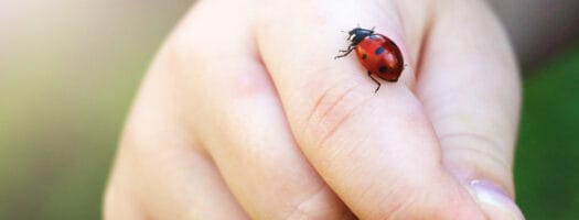 Best Bug Spray for Babies to Keep the Pests Off Them