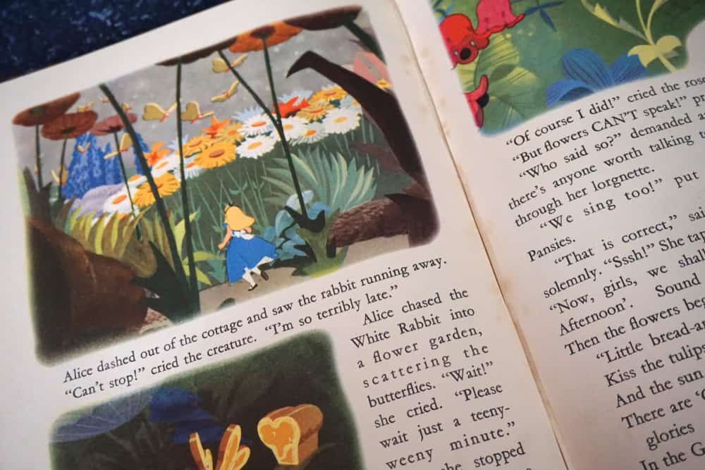 close up of book with words and illustrations