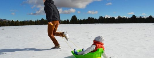 Best Sleds for Kids to Carve the Snow