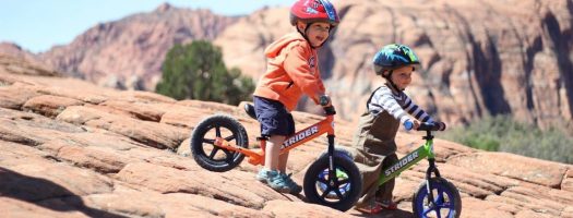 Raise a Champion: Best Sports Toys for Kids and Toddlers