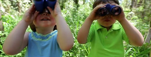 Best Binoculars for Kids to Help them See into the Distance