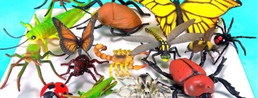 A Bug's Life: The Best Bug Toys for Kids