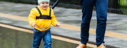 On a Tight Leash: The 10 Best Child Leashes