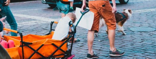 Best Stroller Wagons for Your Precious Cargo