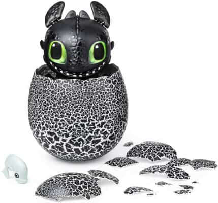 DreamWorks Dragons Hatching Toothless