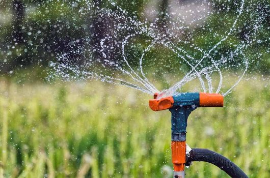 Sprinkle All the Way: The Best Sprinklers for Kids