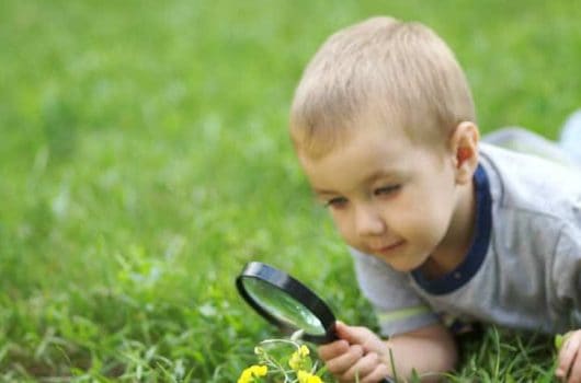 Best Magnifying Glasses for Kids to Look Closely At