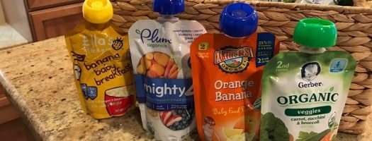 Best Organic Baby Foods for the Health-Conscious Family