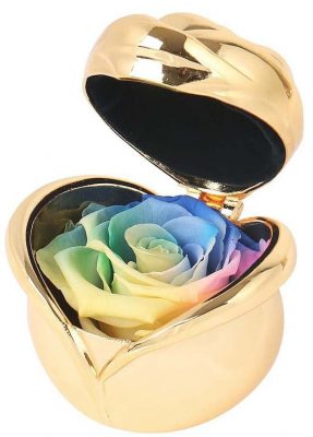 Angel Lover Preserved Flower Rose