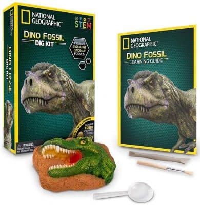 National Geographic Dinosaur Dig Kit