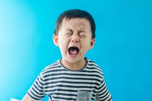 Toddler Screaming: Main Reasons and Ways to Handle It